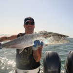 Fish Naples Florida